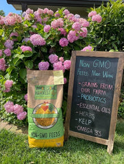 Wholesome Harvest layer blend showcasing omega-3 flax oil for balanced nutrition