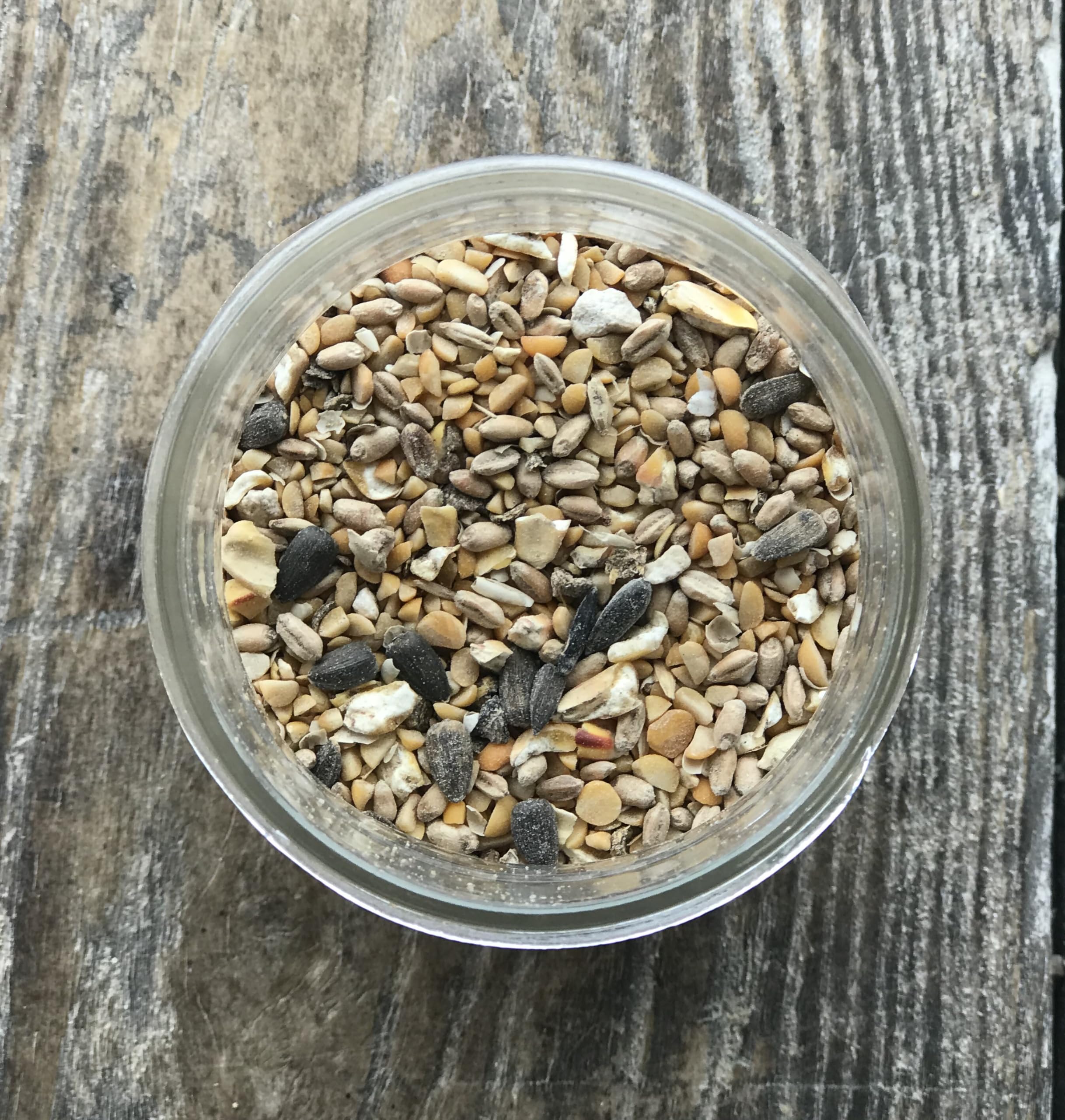 Wholesome Harvest layer blend with probiotic for digestive health in poultry