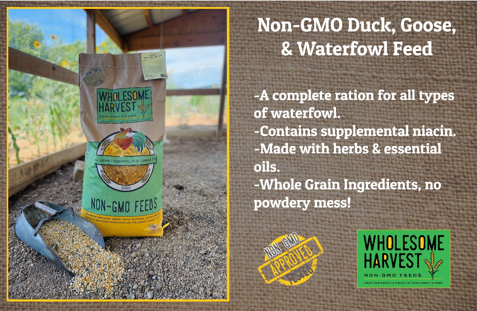 Wholesome Harvest non-GMO ingredients close-up showing transparency and natural nutrition.