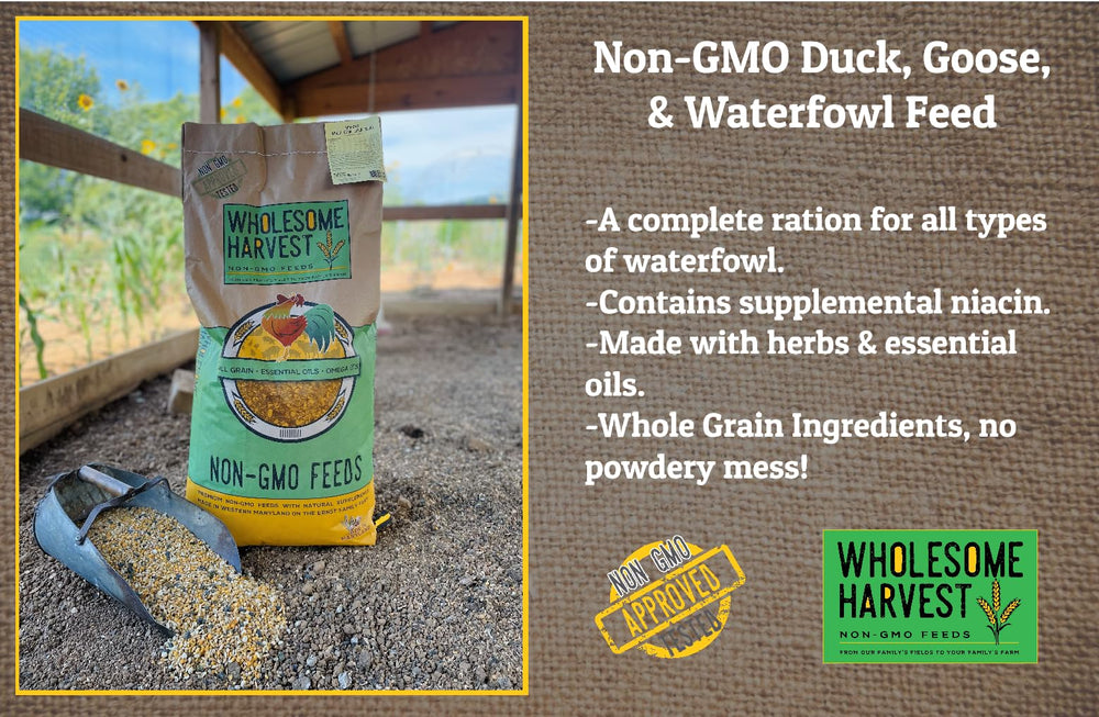 Wholesome Harvest non-GMO ingredients close-up showing transparency and natural nutrition.