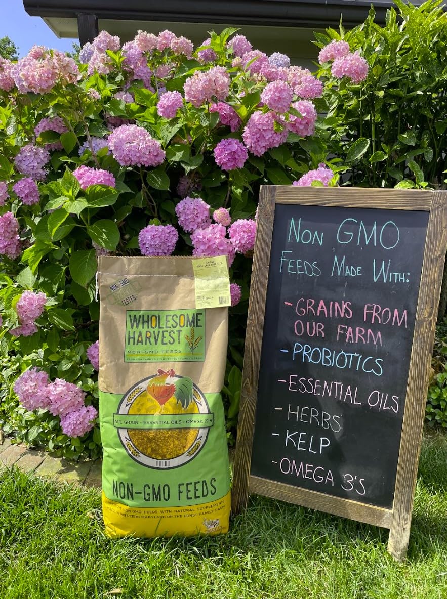 Wholesome Harvest quail layer feed calcium-enriched blend supports healthy eggs in laying quail.