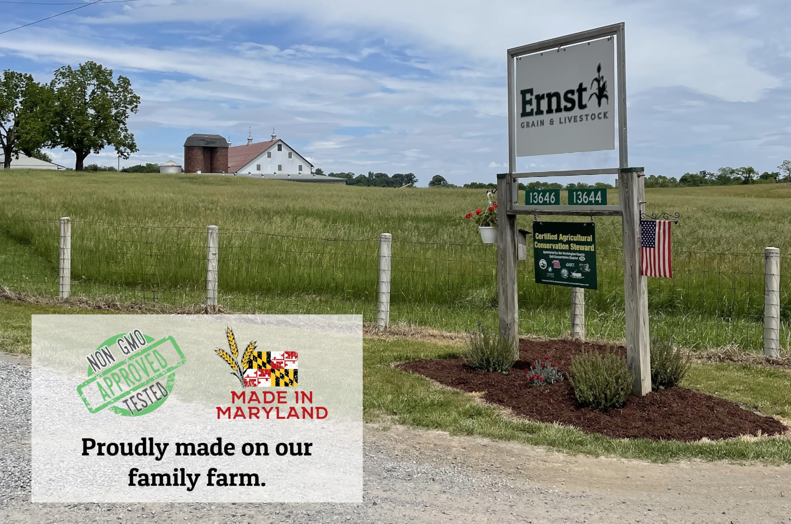 Wholesome Harvest quail layer feed coop setup scene highlights reliable daily feeding for quail.
