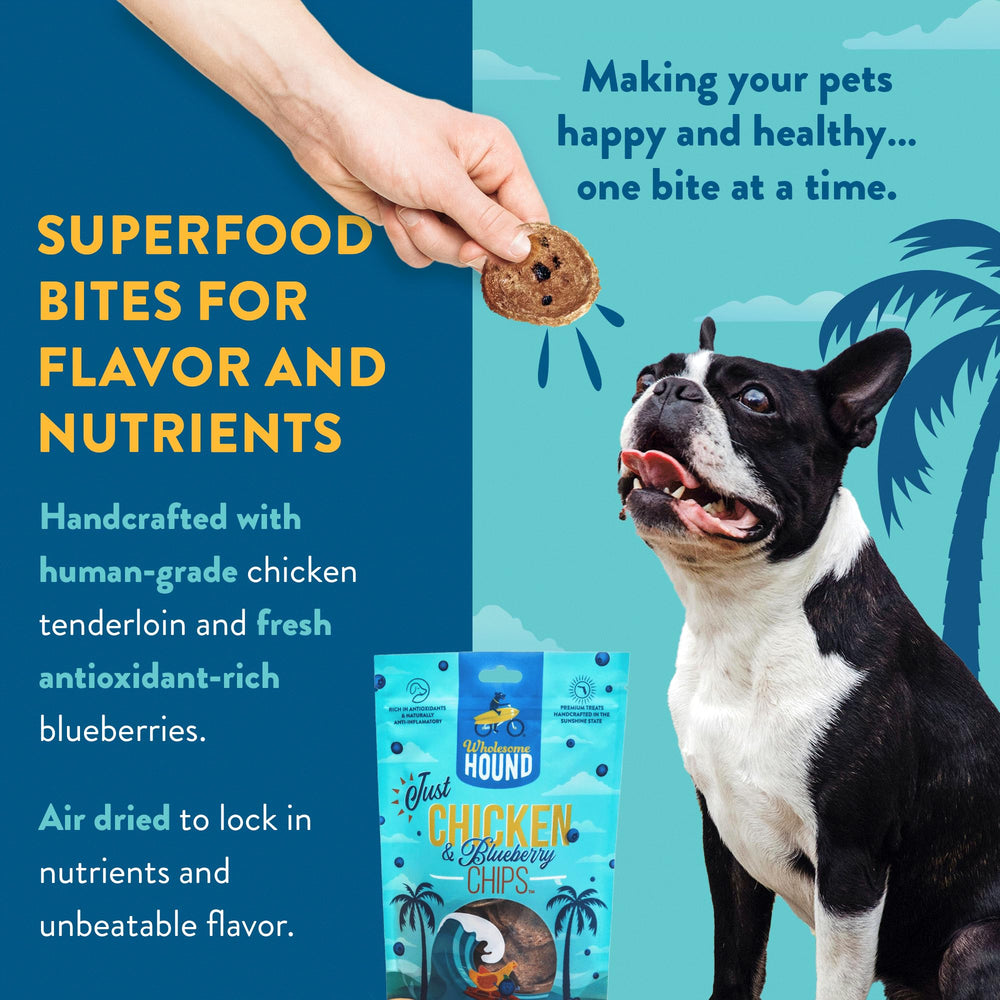 Wholesome Hound training chips shown as a lightweight reward.