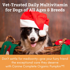 Wholistic Pet Organics Canine Complete ingredient label showing organic vitamins.