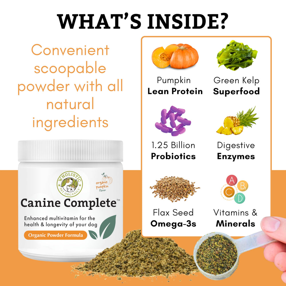 Wholistic Pet Organics Canine Complete scoop on dish illustrating homemade diet.