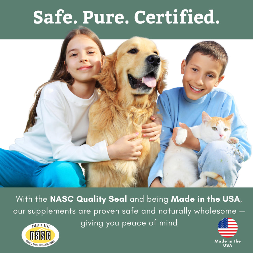 Wholistic Pet Organics Canine Complete non-GMO formula emphasizes clean ingredients