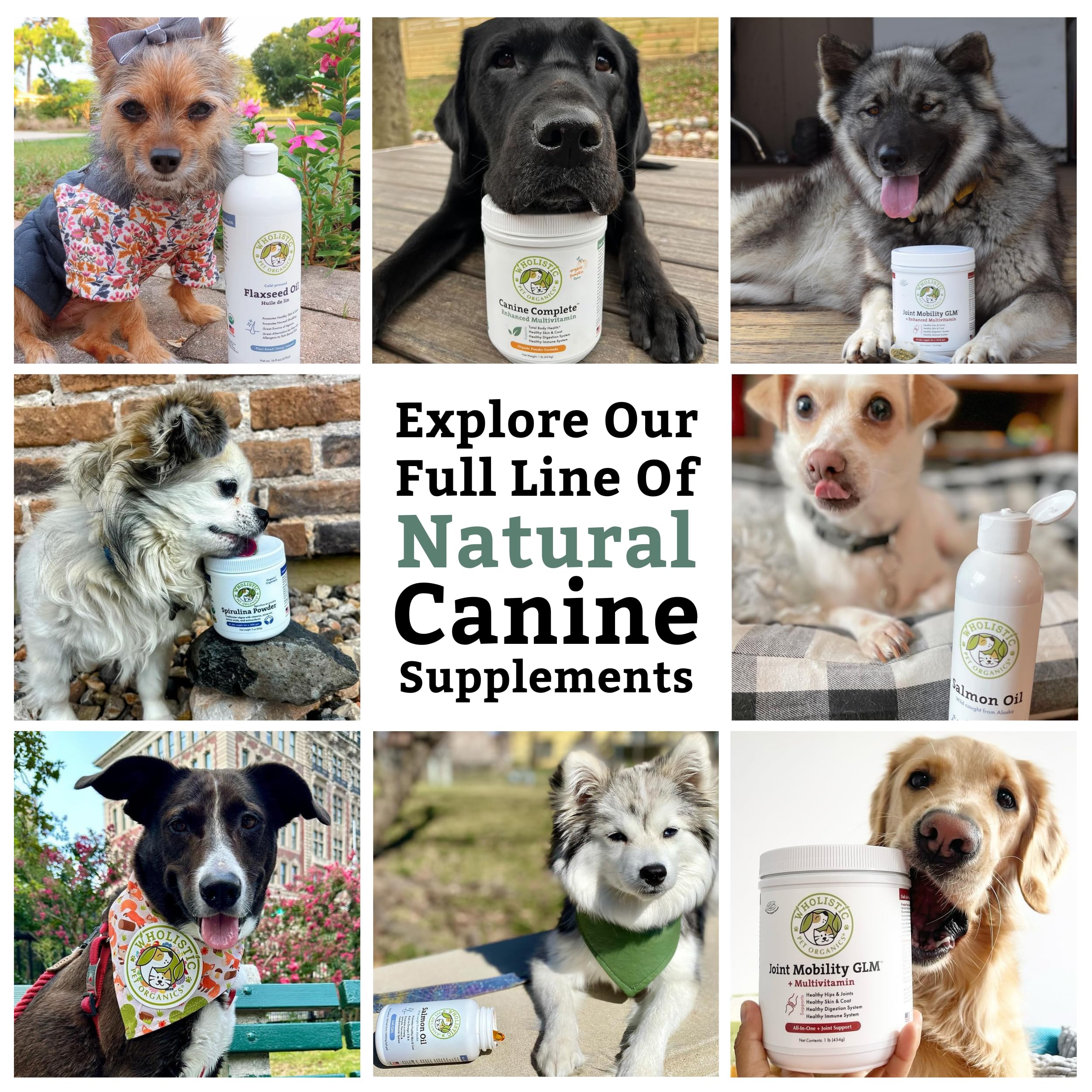 Wholistic Pet Organics Canine Complete USA-made NASC ensures trusted quality