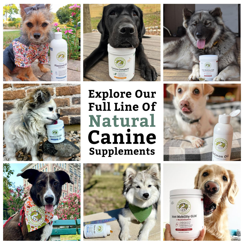 Wholistic Pet Organics Canine Complete USA-made NASC ensures trusted quality
