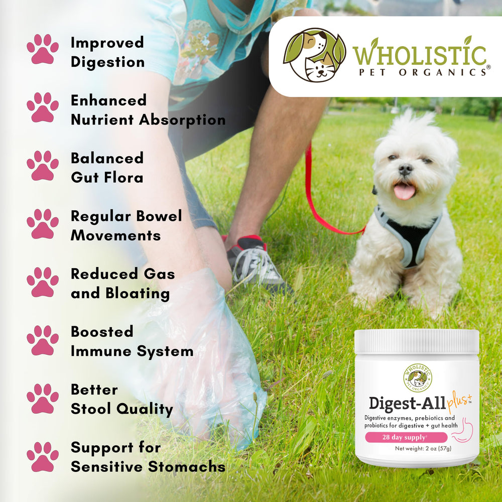 Wholistic Pet Organics cat-dog-probiotics-multi-use box depicts cross-species digestive support.