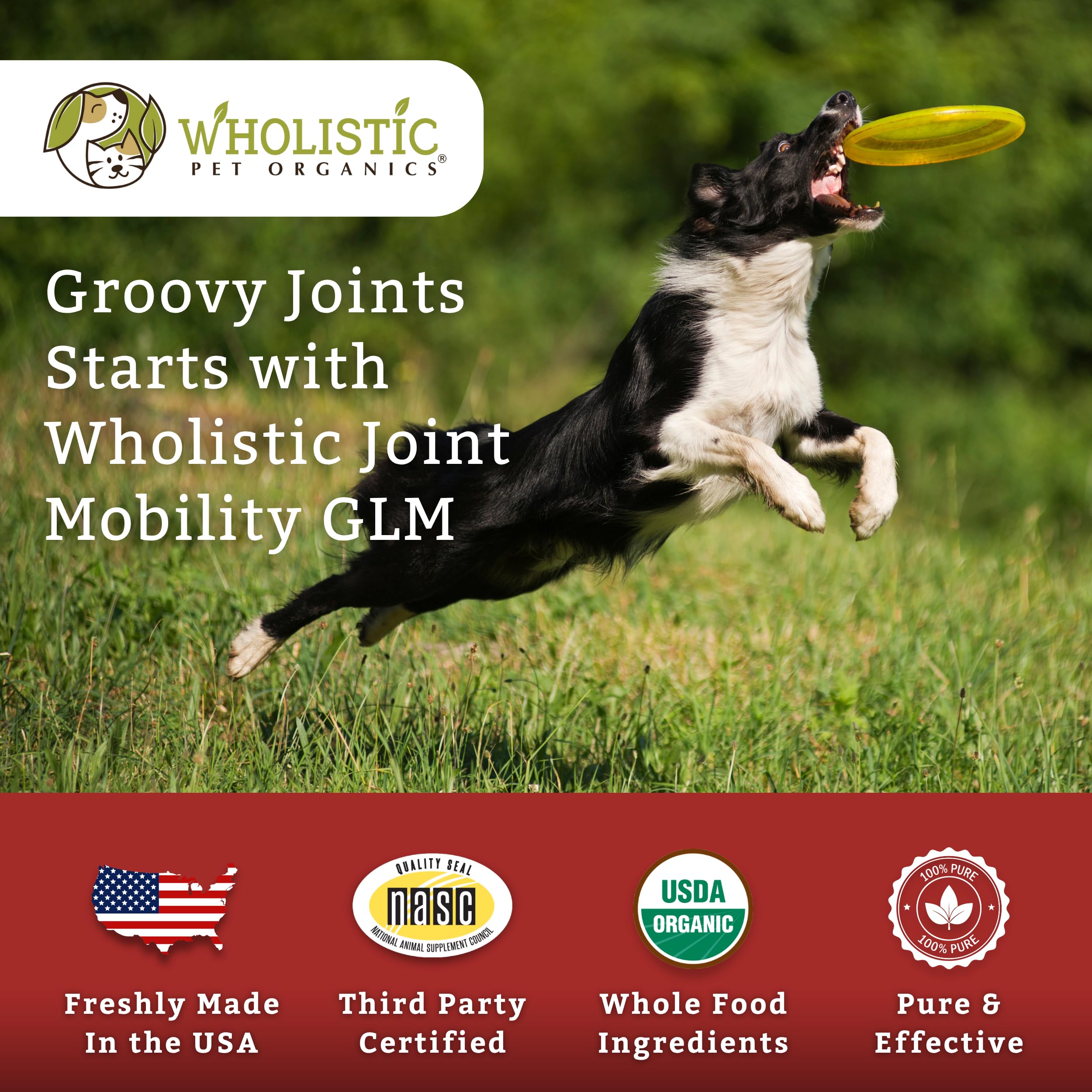 Wholistic Pet Organics dog supplement powder for easy daily use.