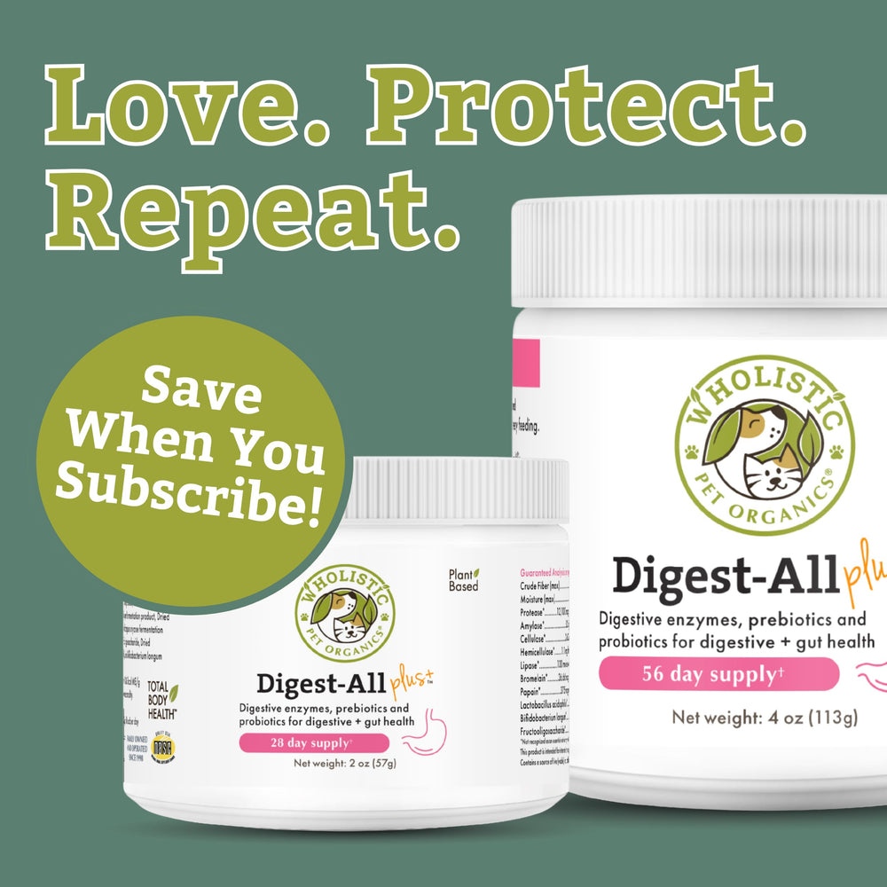 Wholistic Pet Organics digestive enzymes bottle highlights potential nutrient absorption support.