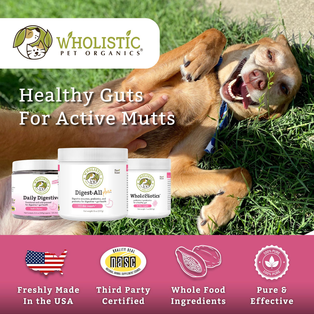 Wholistic Pet Organics dogs-and-cats-probiotic powder jar ready to support daily gut balance.
