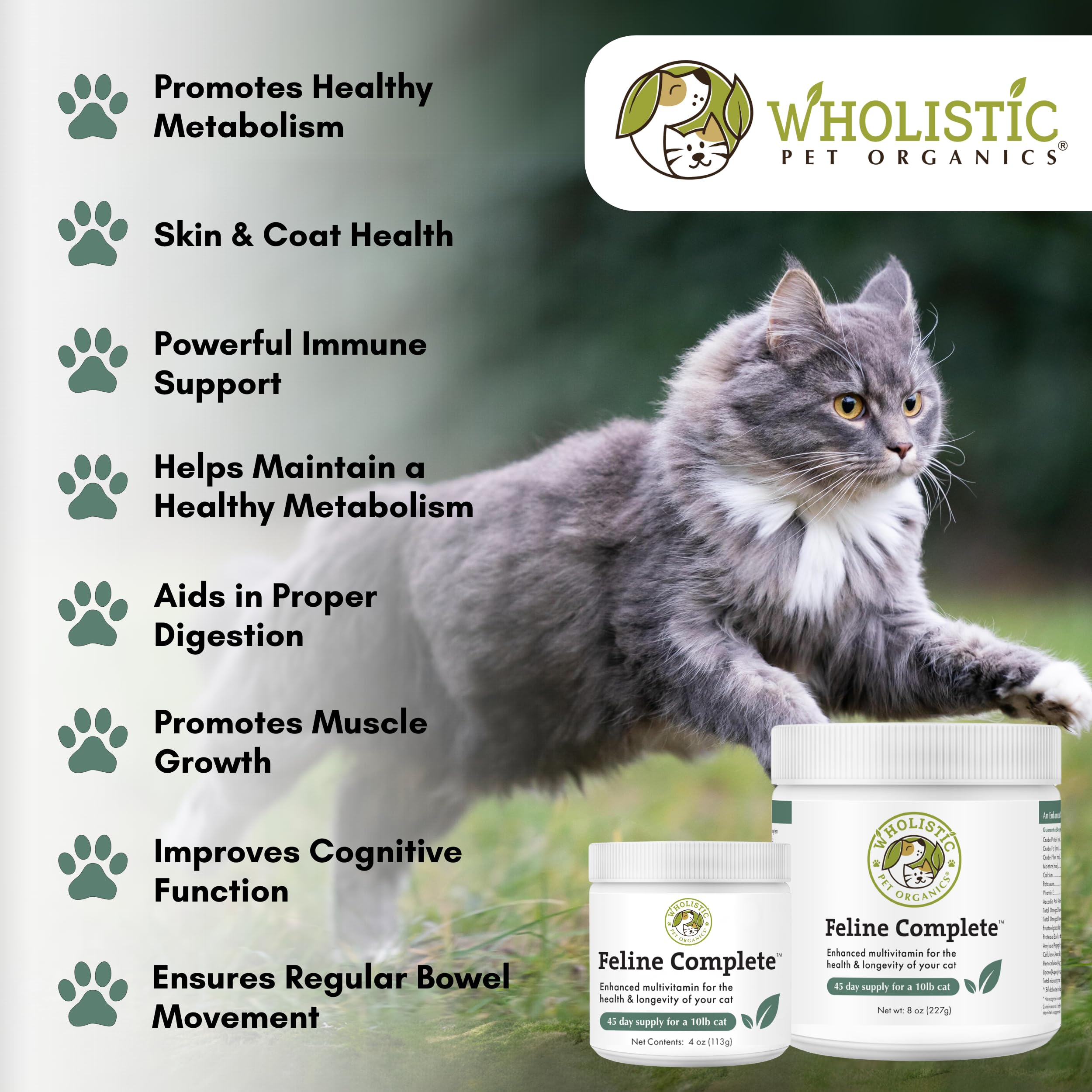 Wholistic Pet Organics Feline Complete cat-bowl demonstrates easy mixing into meals.