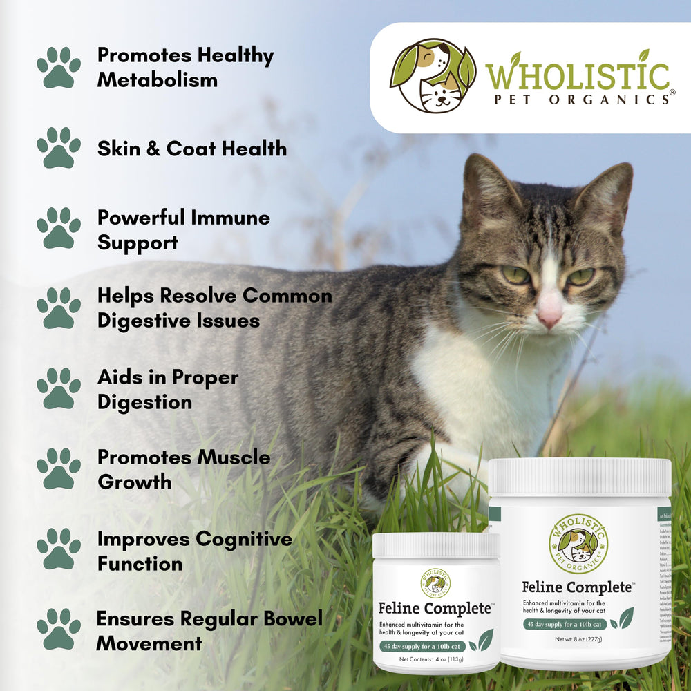 Wholistic Pet Organics Feline Complete digestive-health visual, promotes gut balance.