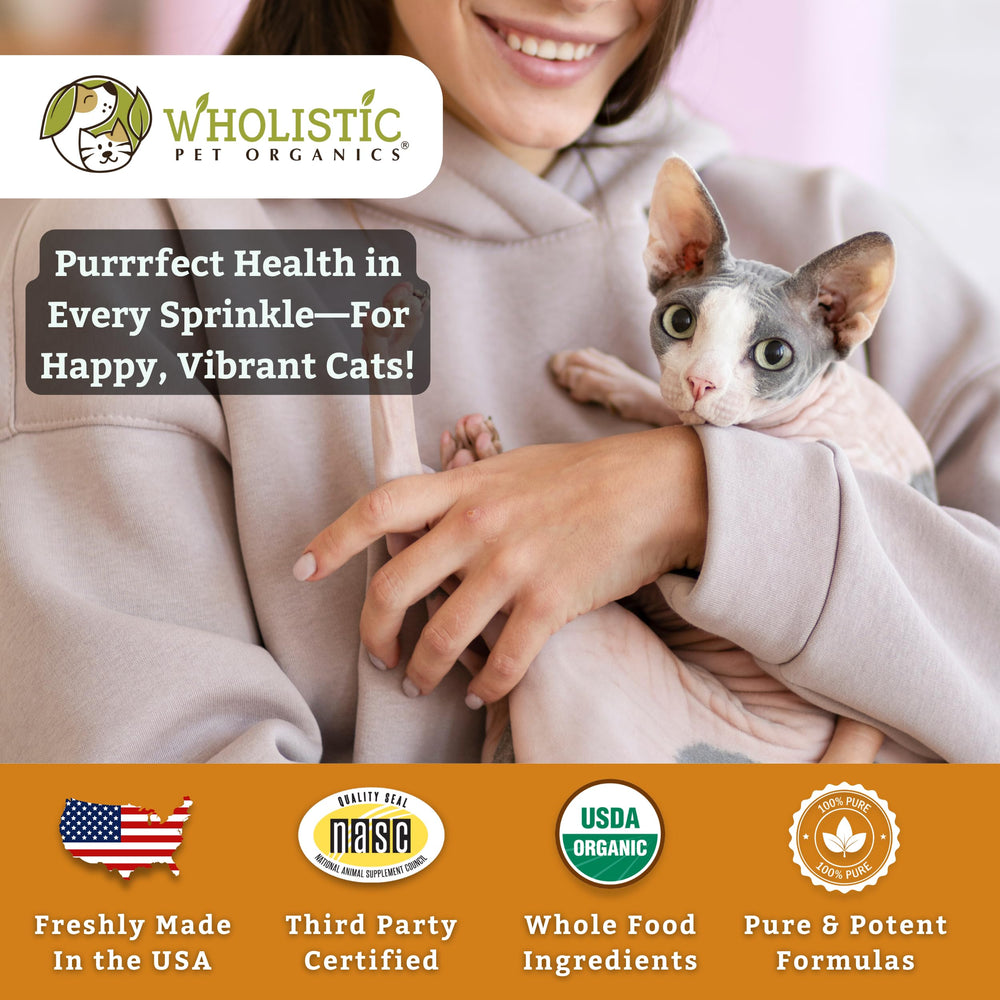 Wholistic Pet Organics Feline Complete Organic Pumpkin cat enjoying a daily wellness ritual.