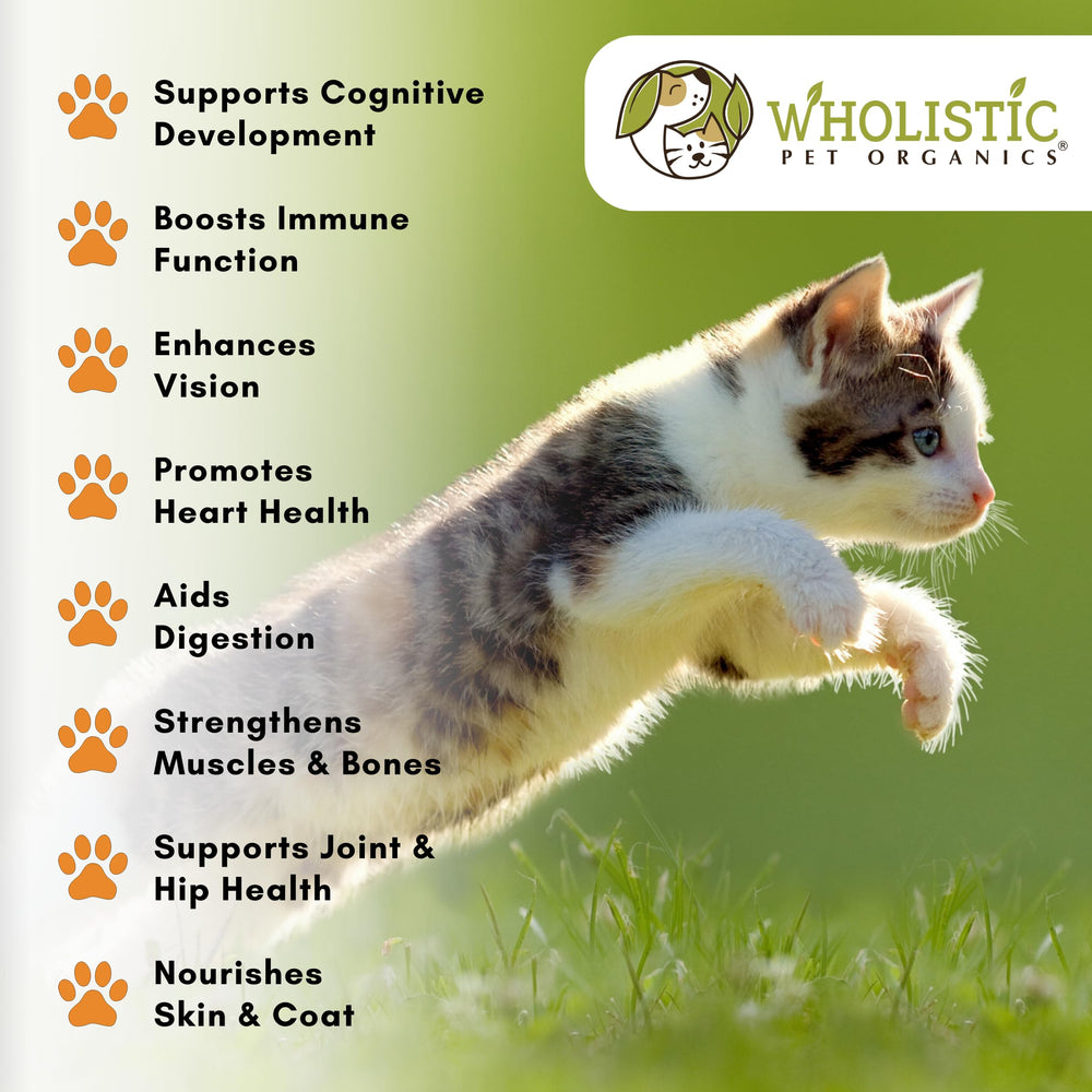 Wholistic Pet Organics Feline Complete Organic Pumpkin coat glow and skin nourishment for cats.