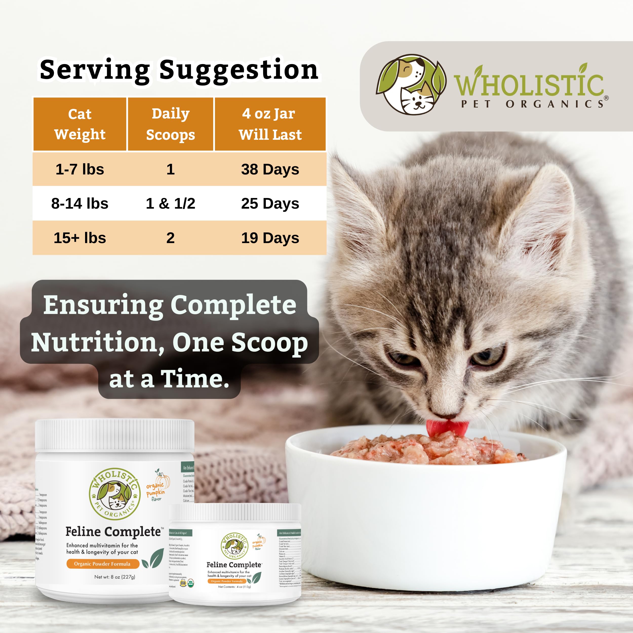 Wholistic Pet Organics Feline Complete Organic Pumpkin powder mixed with food for vitality.
