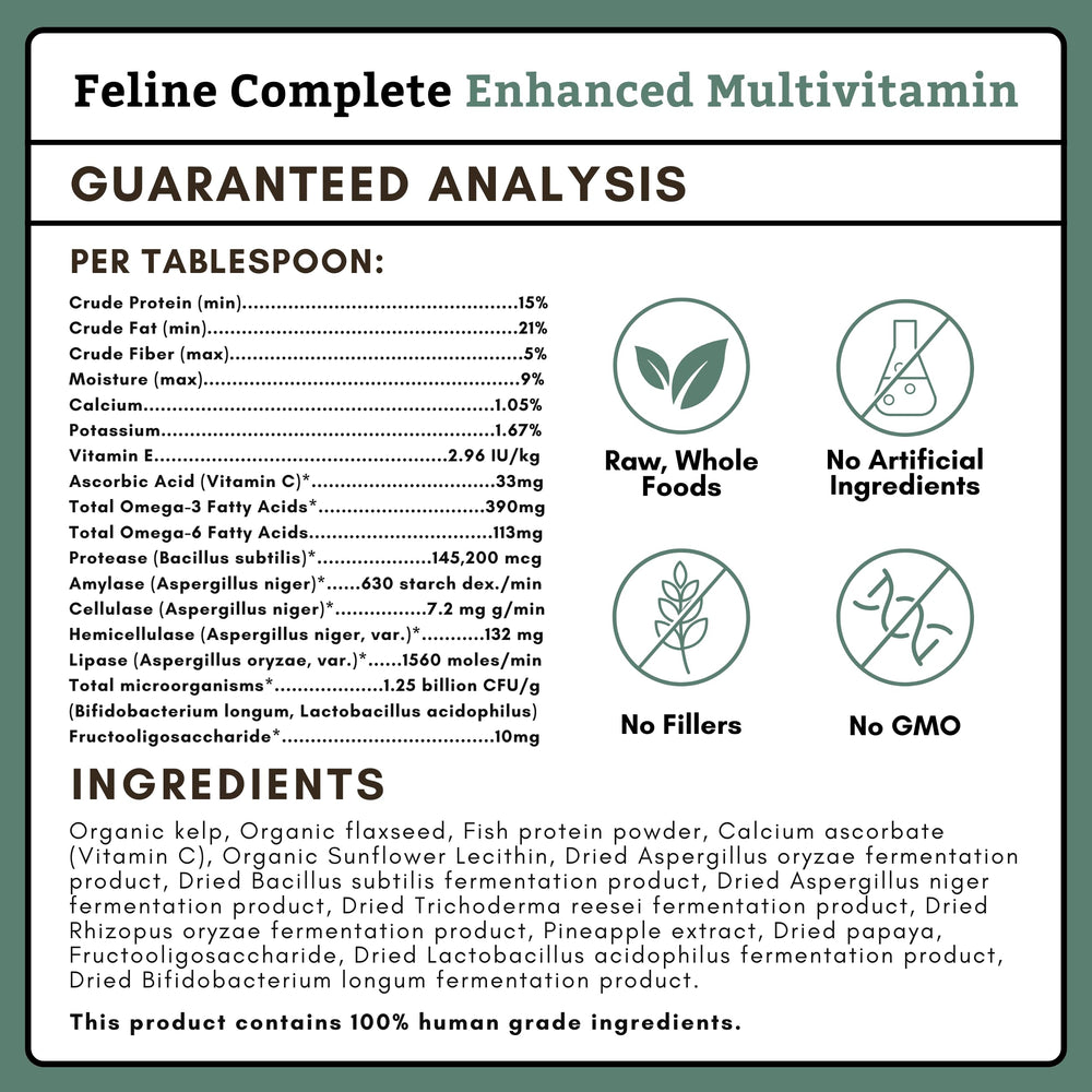 Wholistic Pet Organics Feline Complete skin-coat-shine closeup, healthy coat.
