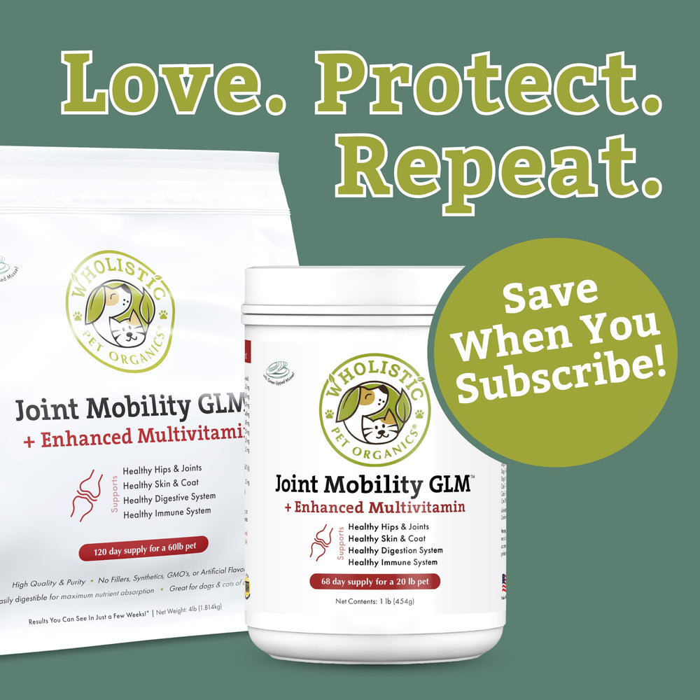 Wholistic Pet Organics green-lipped mussel powder for dogs supporting mobility.