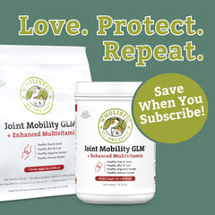 Wholistic Pet Organics green-lipped mussel powder for dogs supporting mobility.