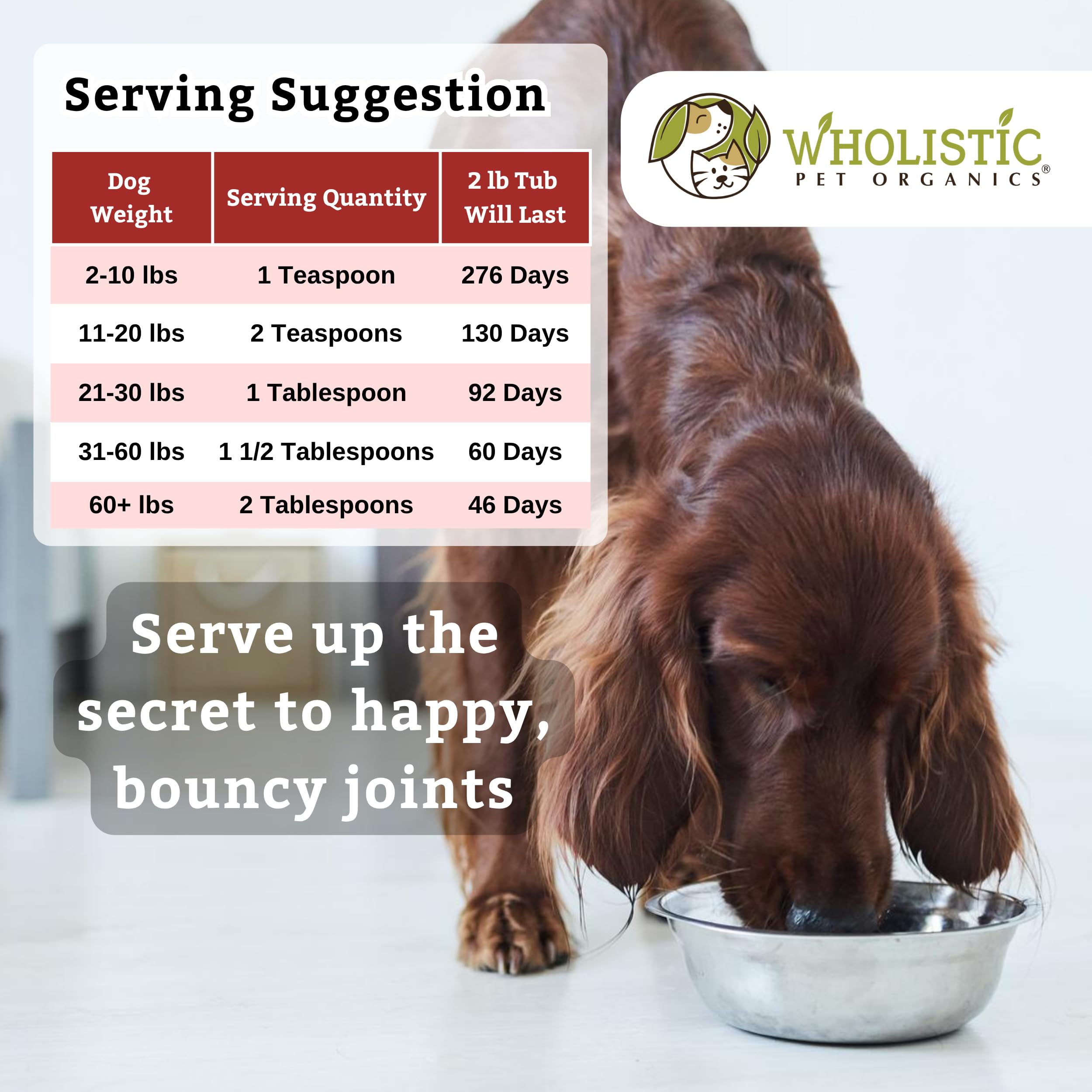Wholistic Pet Organics GLM supports hip and joint comfort during activity.