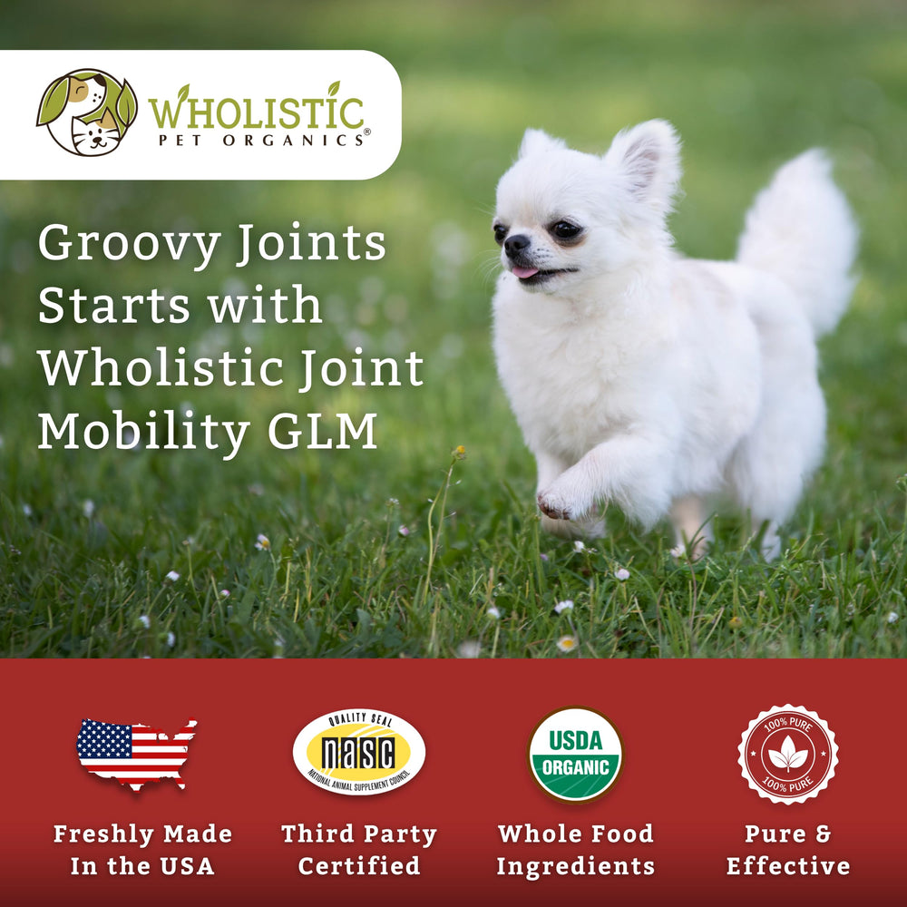 Wholistic Pet Organics Joint Mobility GLM suitable for all breeds