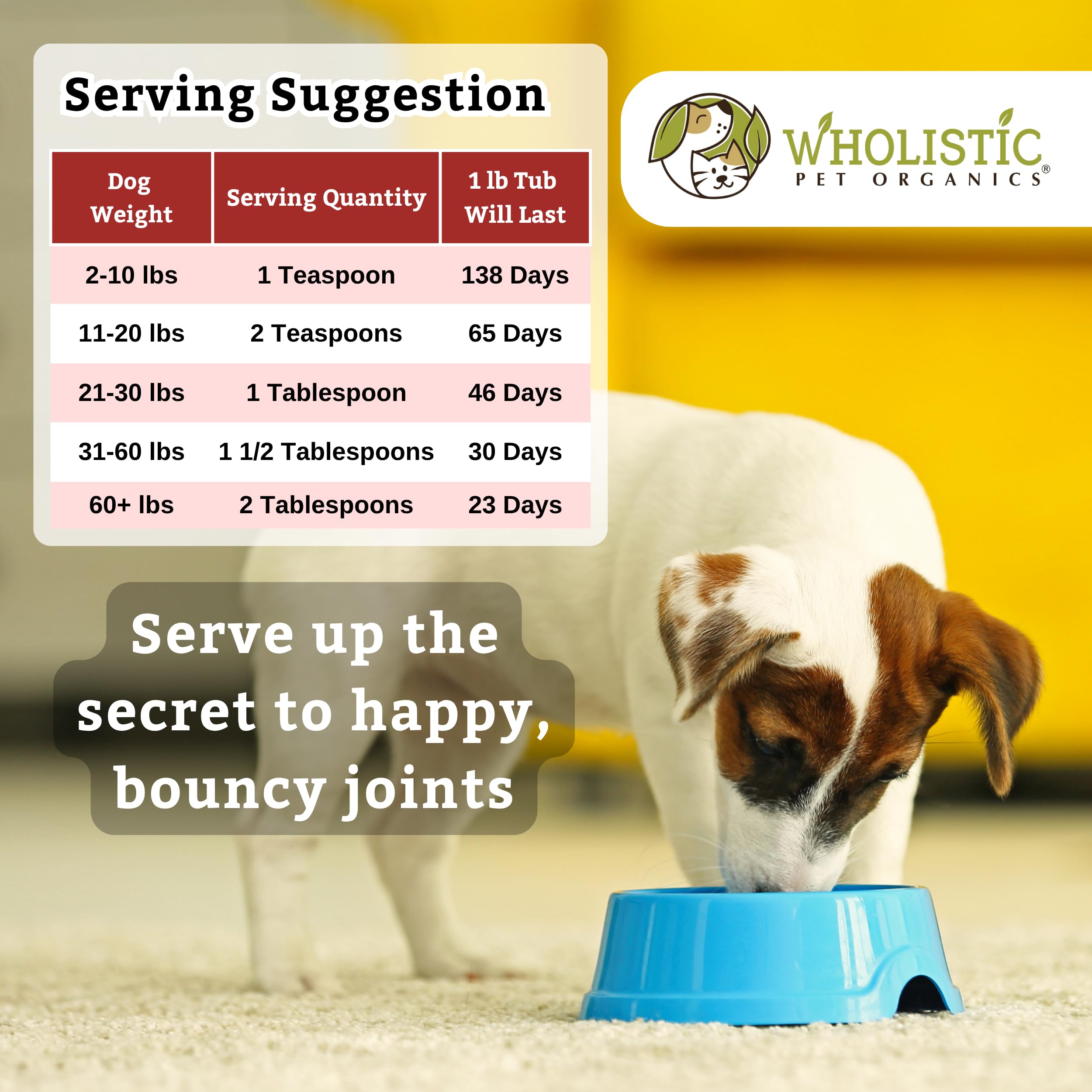 Wholistic Pet Organics Joint Mobility GLM in bowl ready to serve for joint support