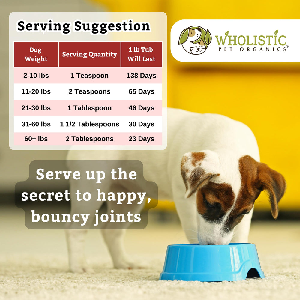 Wholistic Pet Organics Joint Mobility GLM in bowl ready to serve for joint support