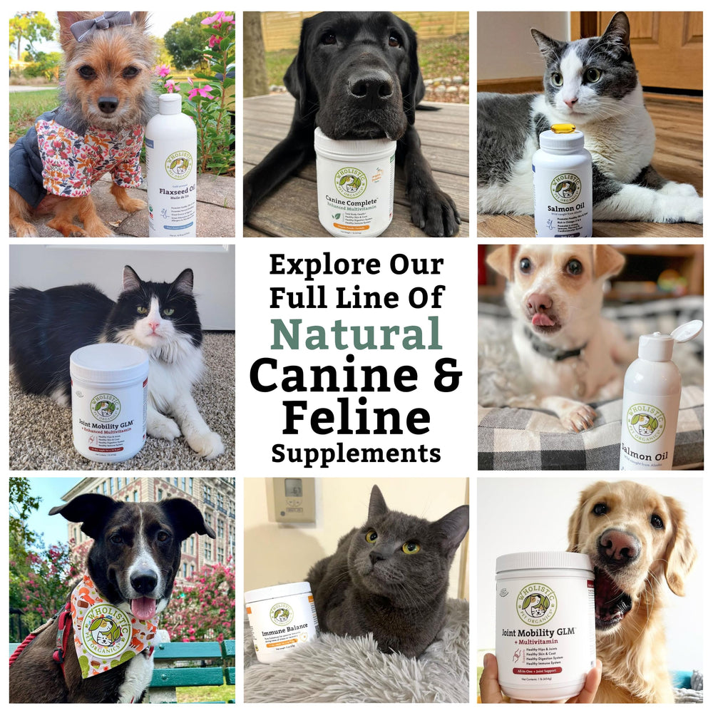 Wholistic Pet Organics USA-made label signals quality and domestic production.