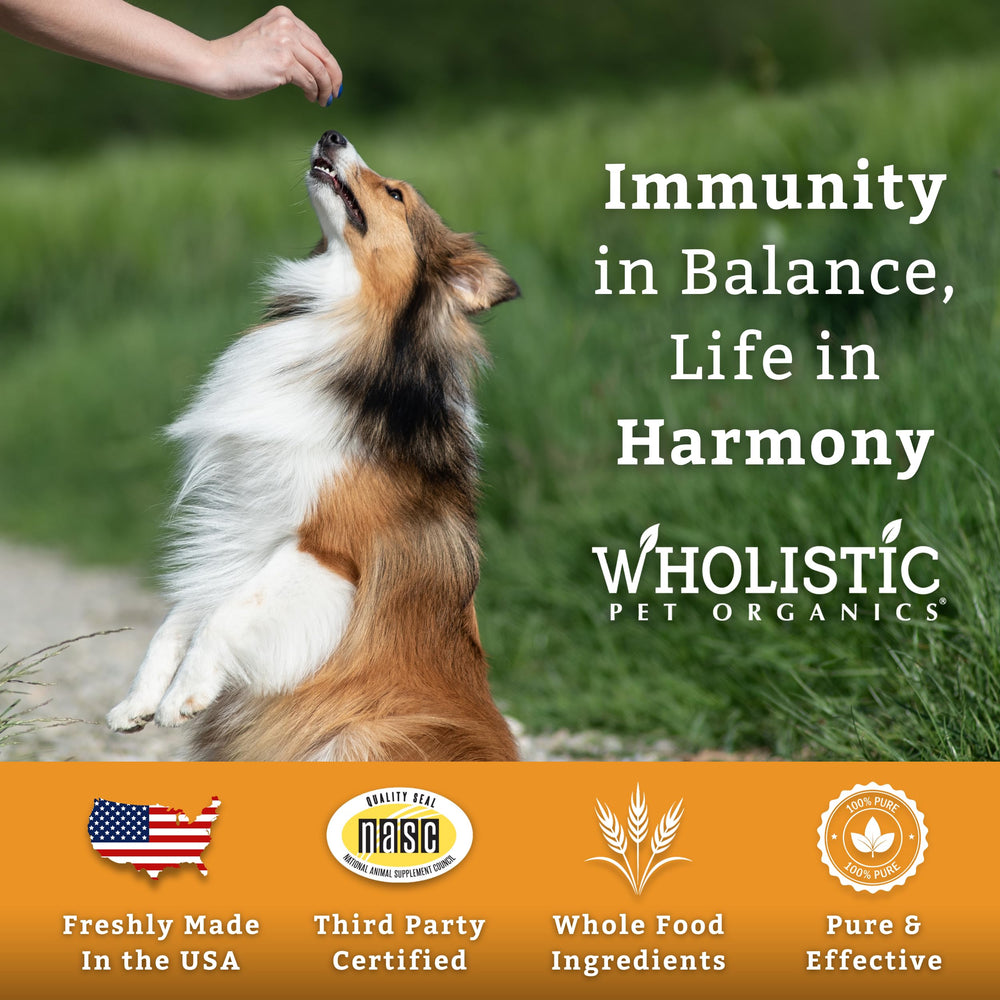 Wholistic Pet Organics natural dog nutrition emphasizes a holistic, everyday vitality routine.