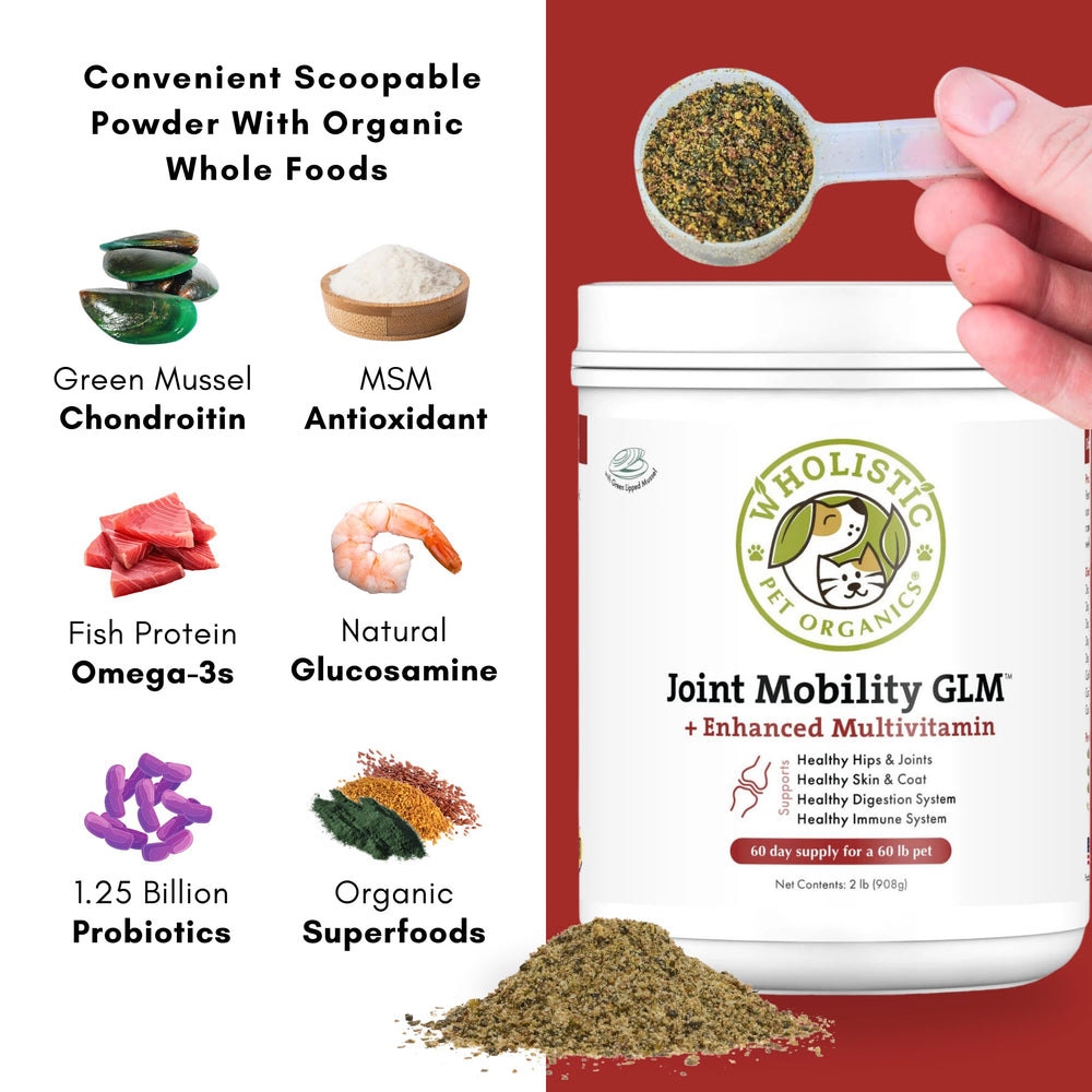Wholistic Pet Organics vitamins and probiotics support joint health.