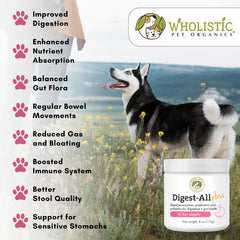 Wholistic Pet Organics organic digestive enzymes powder aiding pets' digestion.