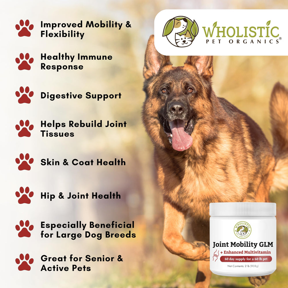 Wholistic Pet Organics powder formula easily mixes with meals.