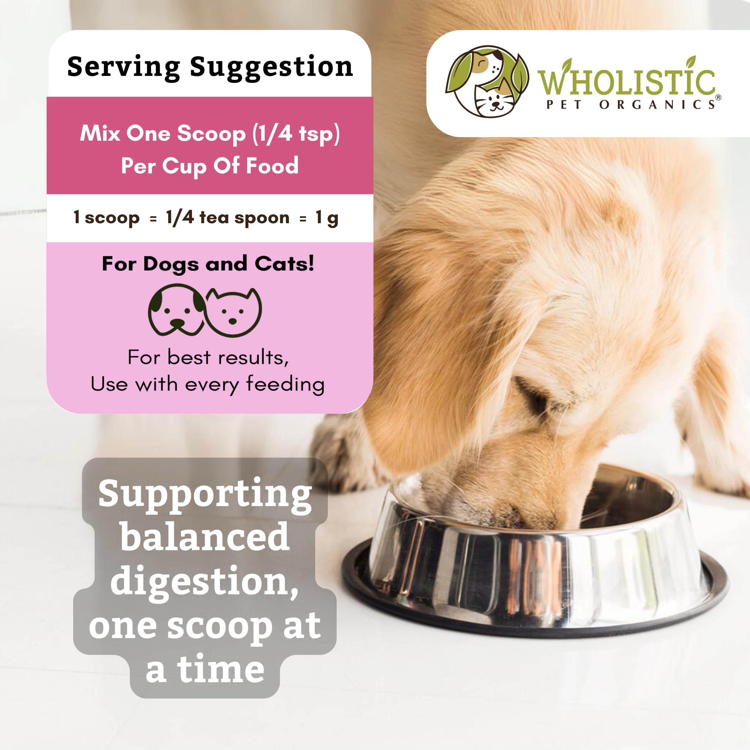 Wholistic Pet Organics gut-health-powder close-up ready to mix into meals.