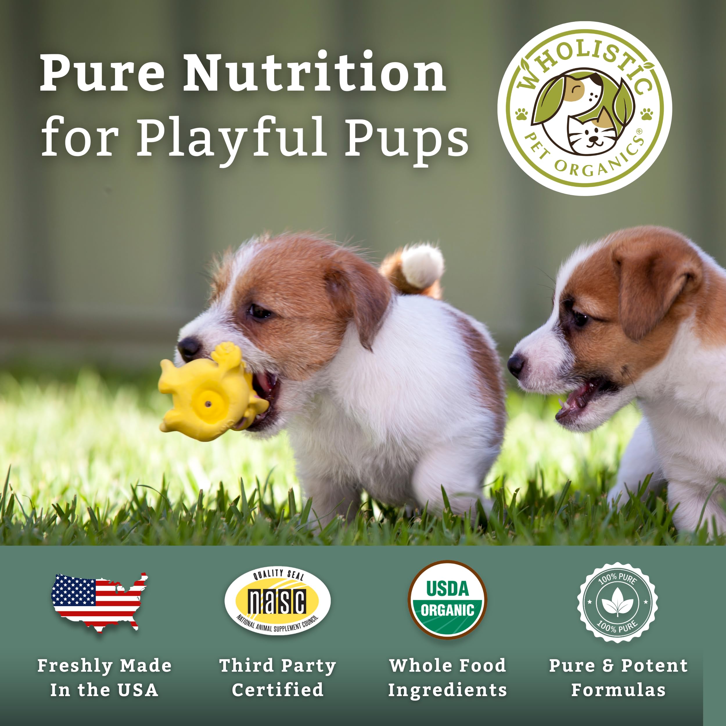 Wholistic Puppy Complete cuidado del pelaje gracias a omega-3 y proteína de pescado.