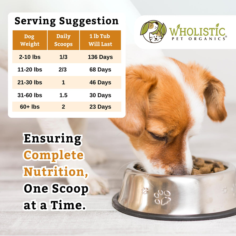Wholistic Pet Organics Puppy Complete daily supplement—easy addition to meals