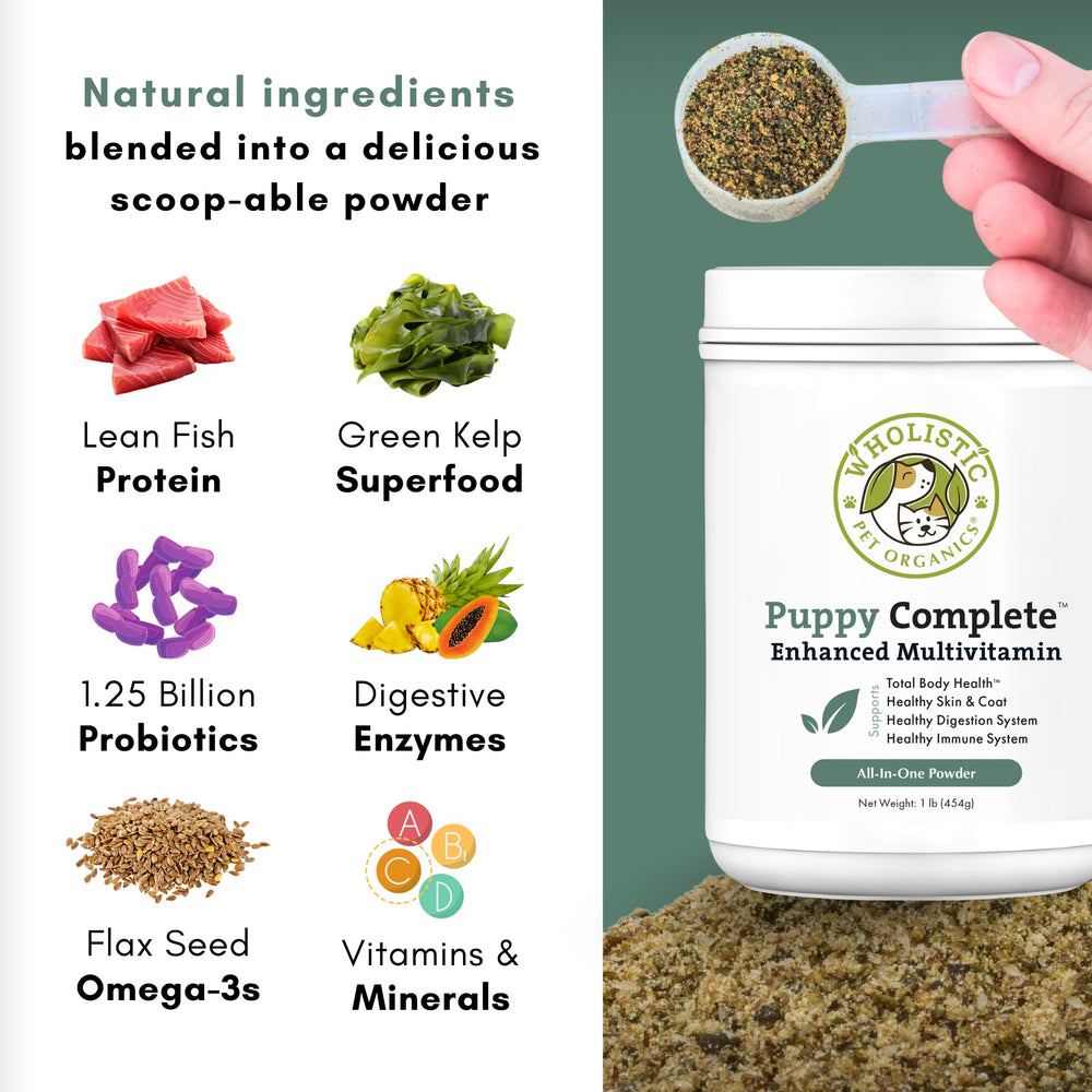 Wholistic Puppy Complete polvo digestivo para una digestión suave.