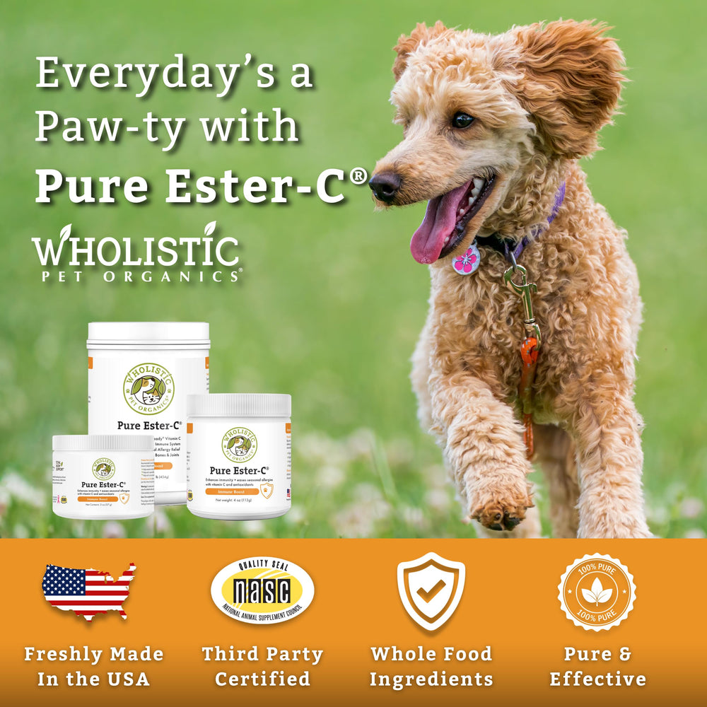 Wholistic Pet Organics Pure Ester-C powder simplifies daily itch relief routine.