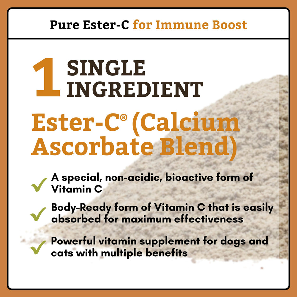 Wholistic Pet Organics Pure Ester-C powder mixed into meals supports skin and coat.