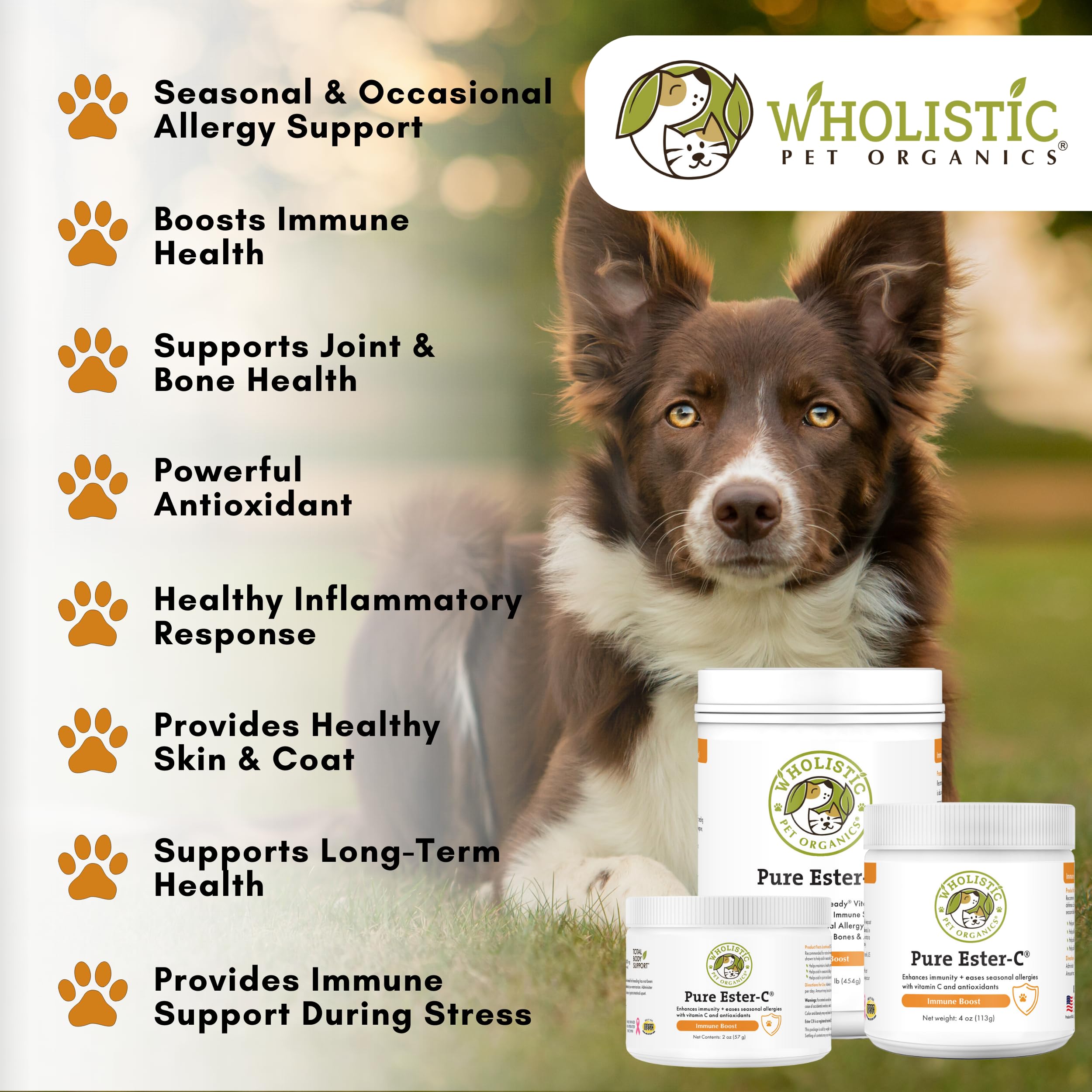 Wholistic Pet Organics Pure Ester-C powder USA-made packaging signals quality.