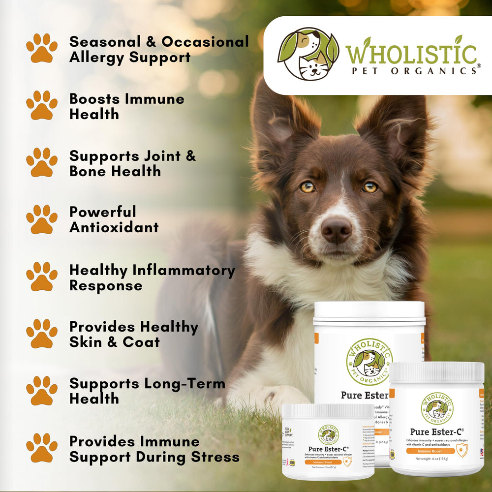 Wholistic Pet Organics Pure Ester-C powder USA-made packaging signals quality.