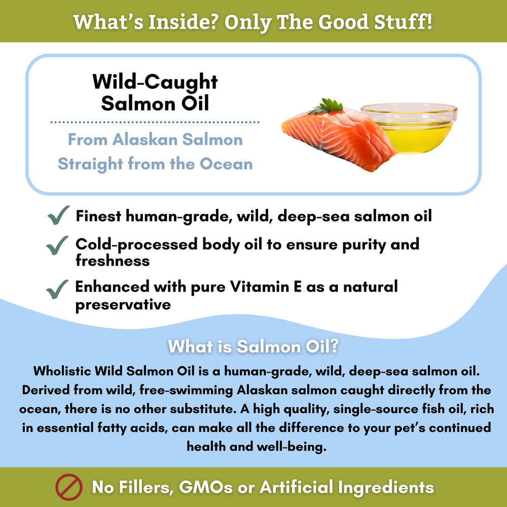 Wholistic Pet Organics Salmon Oil on dog bowl highlights coat health potential.