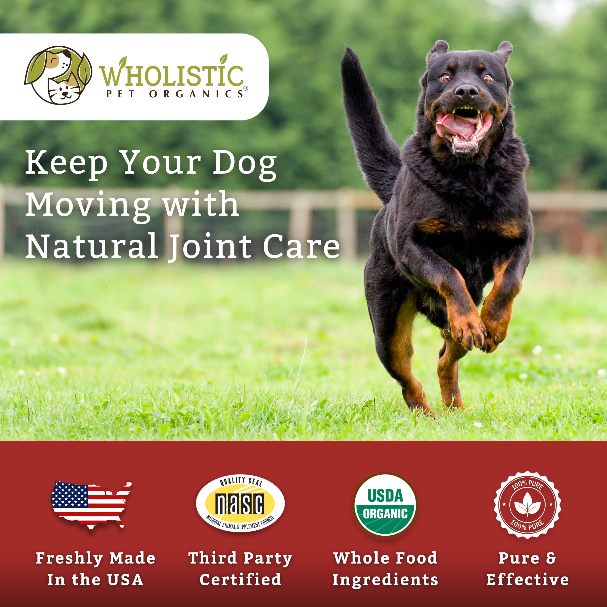 Wholistic Pet Organics senior dog use supports aging mobility.