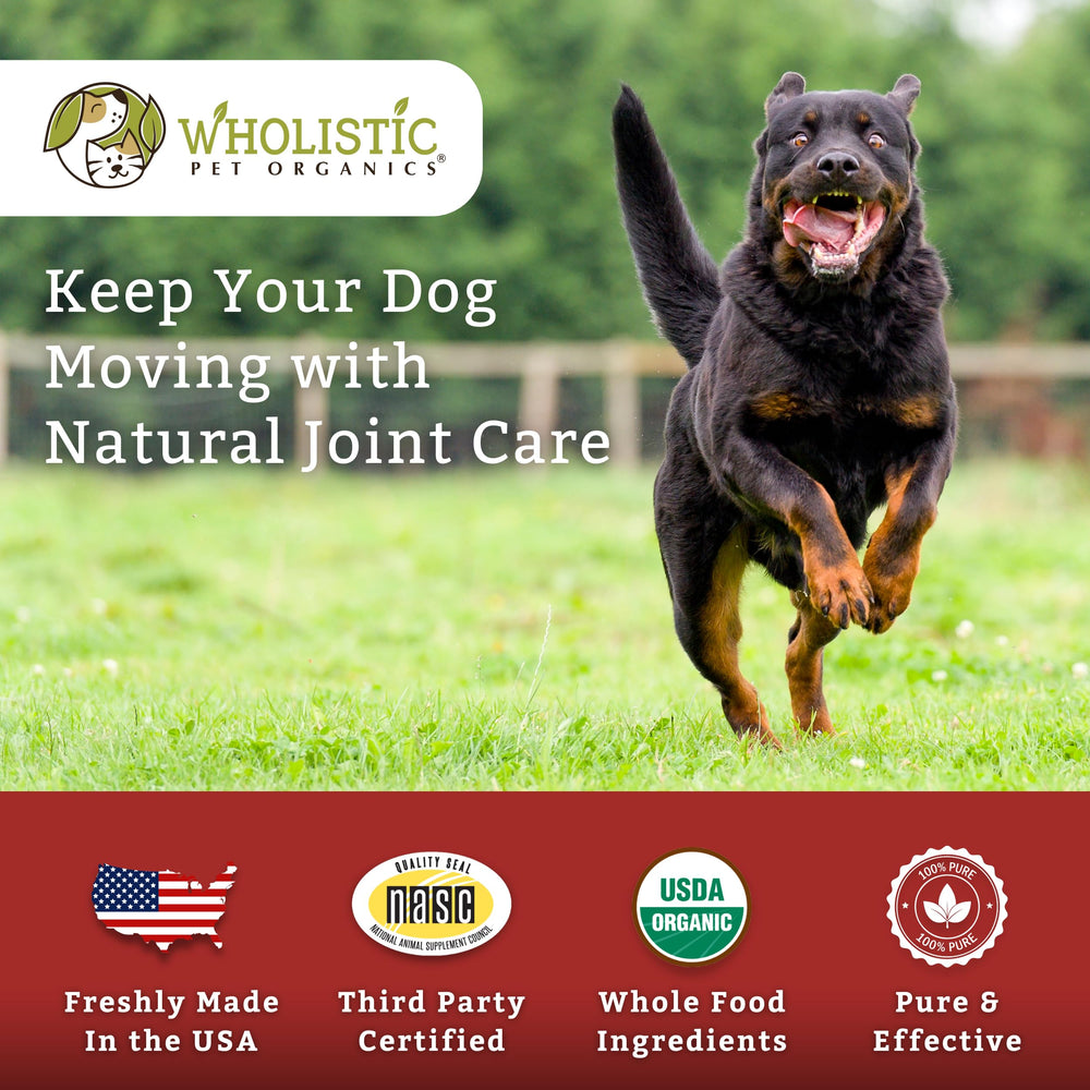 Wholistic Pet Organics senior dog use supports aging mobility.