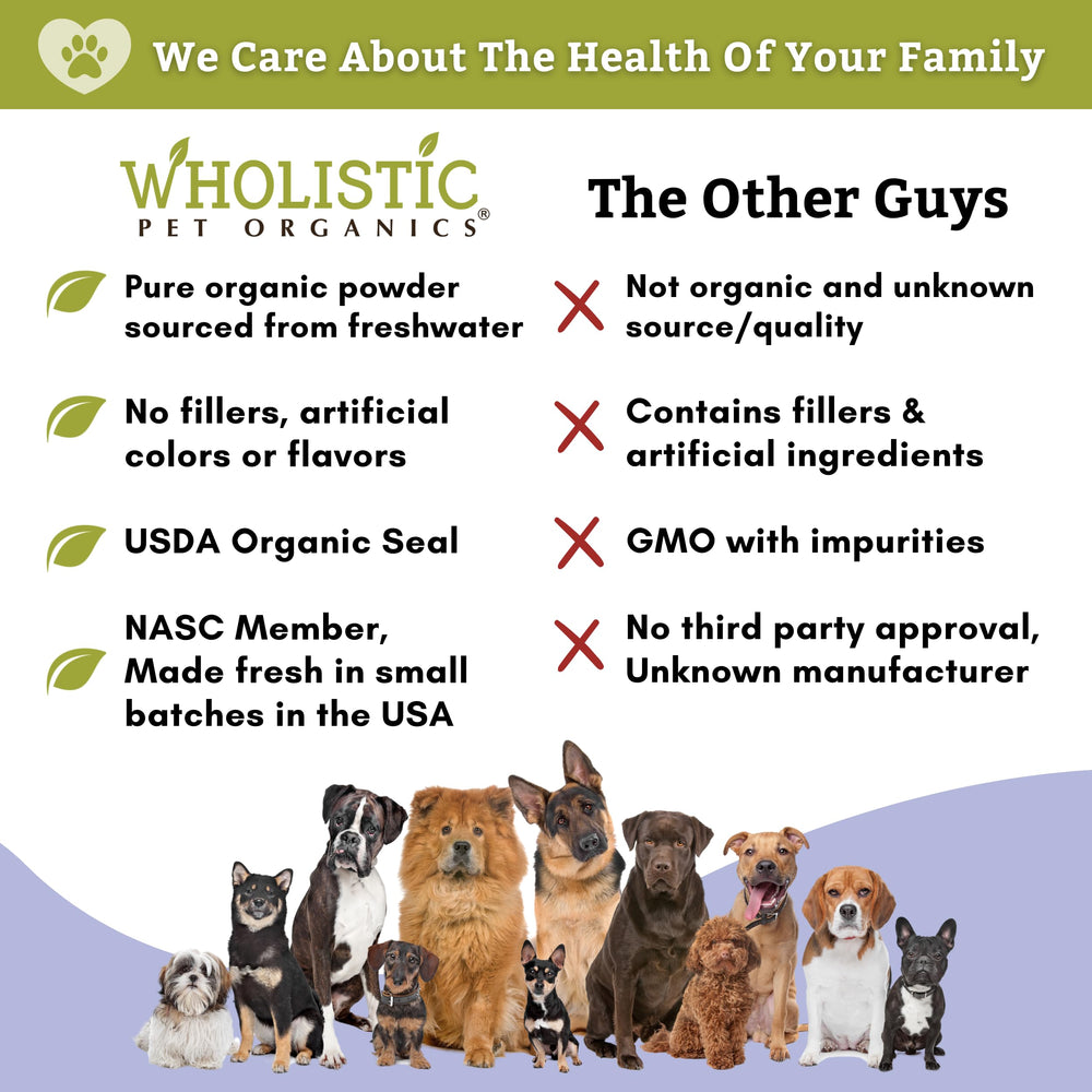 Wholistic Pet Organics Spirulina can be mixed into a dog food bowl