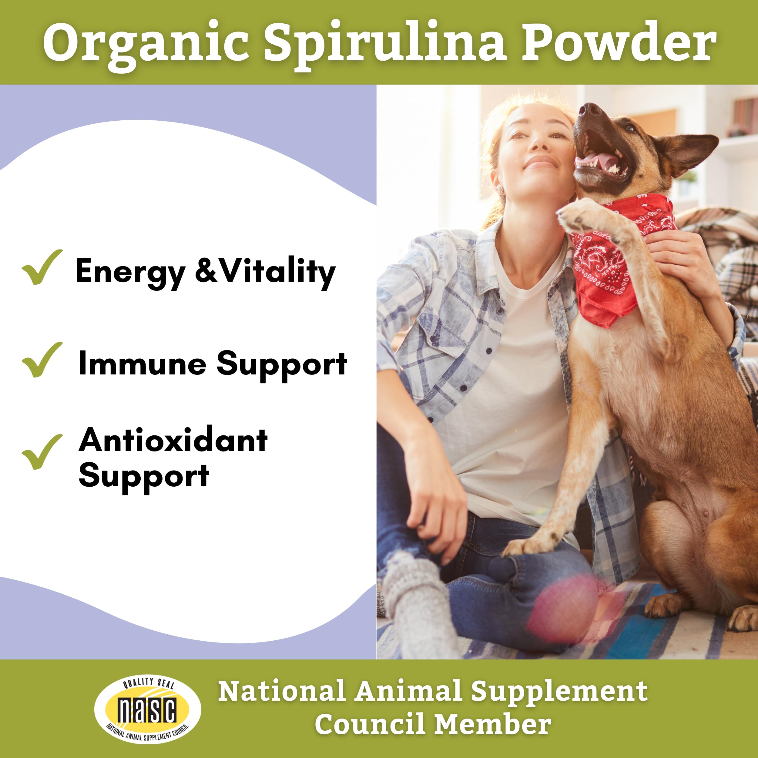 Close-up of Wholistic Pet Organics Spirulina powder vibrant green texture for nutrition