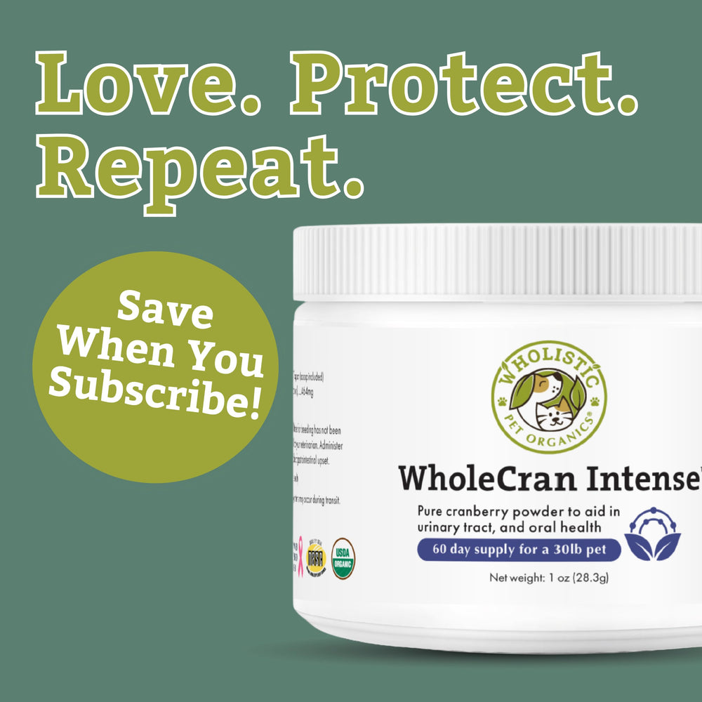 Wholistic Pet Organics WholeCran Intense dog meal topping adds cranberry nutrition
