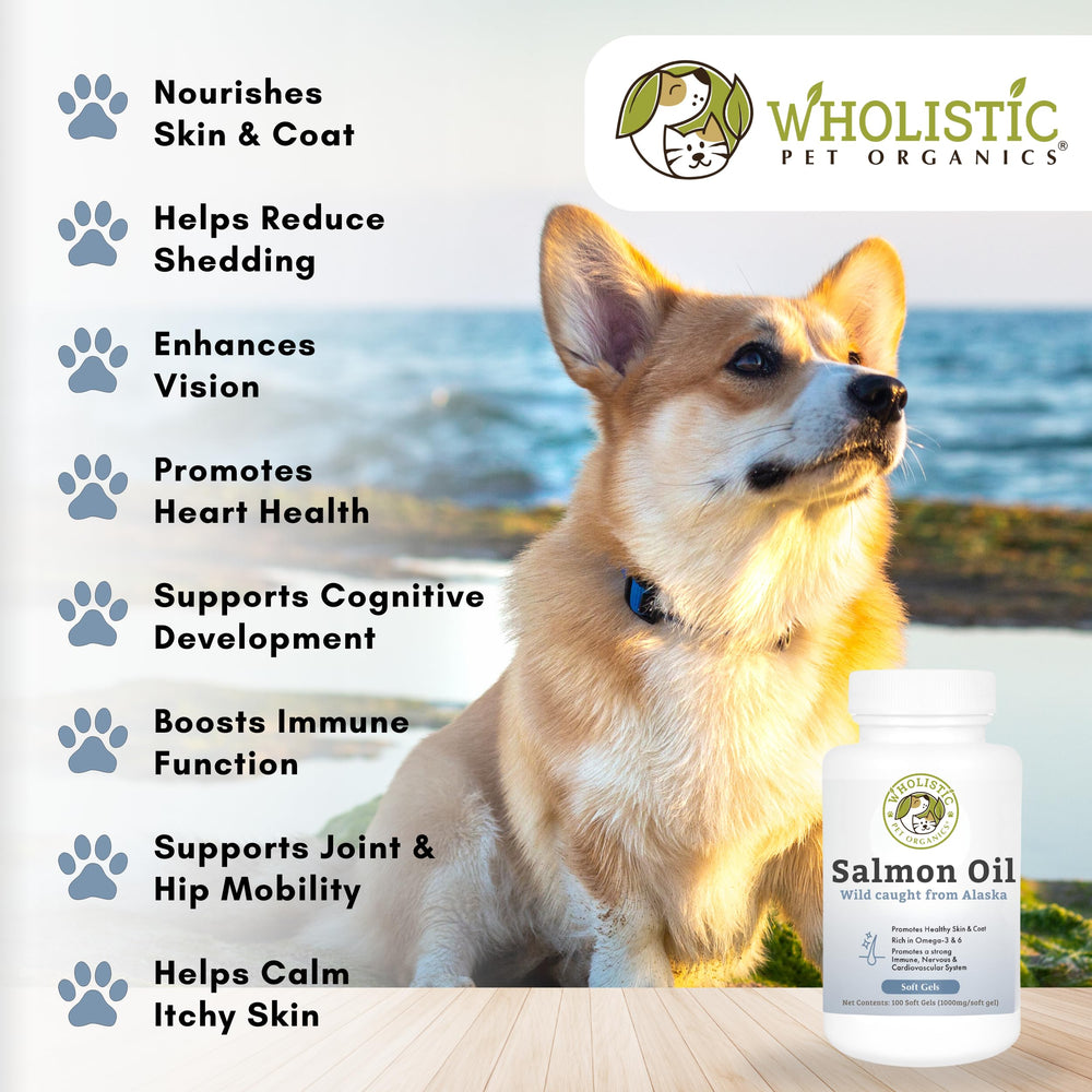 Wholistic Pet Organics Wild Alaskan Salmon Oil coat shine and itchy skin relief for dogs