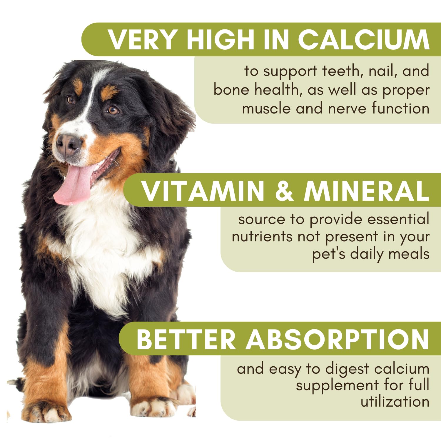 Wholistic Sea Coral calcium helps dogs teeth and bone strength.