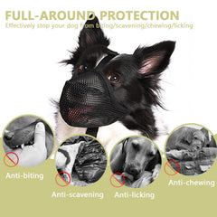 Whongkidz muzzle with adjustable straps and quick-release buckle enables easy on-off.